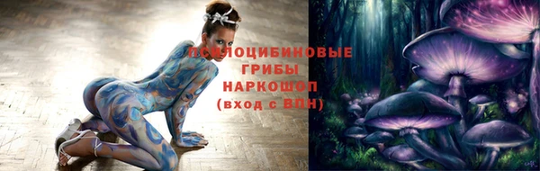 эйфоретик Баксан