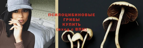 mdpv Балахна