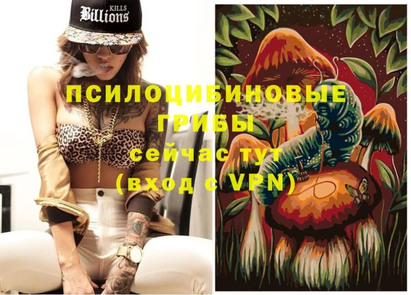 эйфоретик Баксан