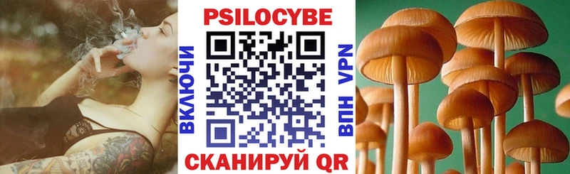 купить наркотик  Уржум  Псилоцибиновые грибы ЛСД 